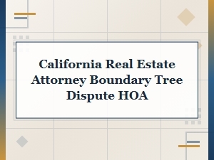 California Attorney for Hoa Boundary Tree Disputes